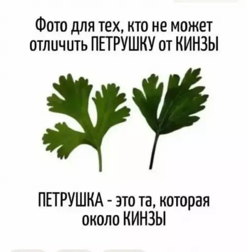 Петрушка vs Кинза - Фото для тех, кто не может отличить петрушку от кинзы.