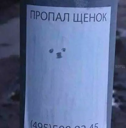 Смешная картинка №238314