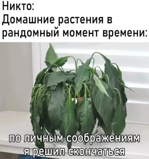 Смешная картинка №716837