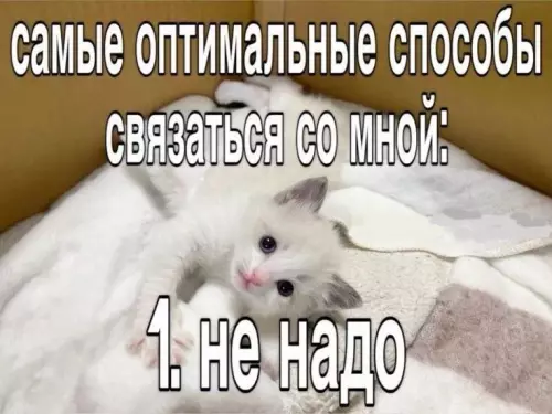 Смешная картинка №772658