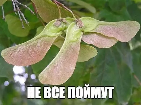 Смешная картинка №182298