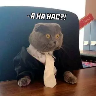 продолжение Смешная картинка №663239
