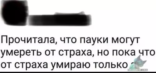 Смешная картинка №324469