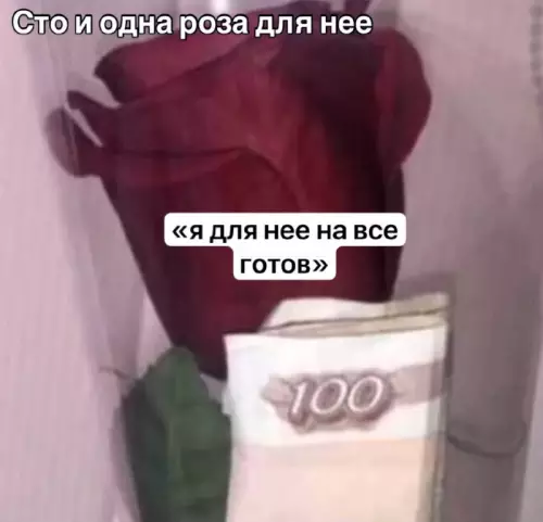 Когда романтик, но бюджет ограничен 😂🌹 - Сто и одна роза для нее я для нее на