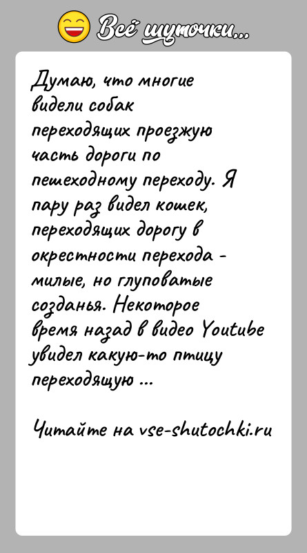 История: Думаю, что многие видели собак переходящих проезжую часть дороги по пешеходному переходу. Я пару раз видел кошек, переходящих дорогу в