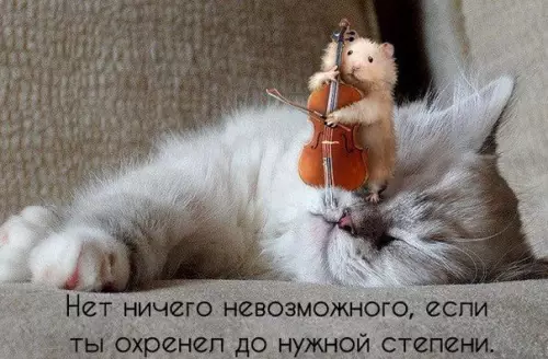 Смешная картинка №226914
