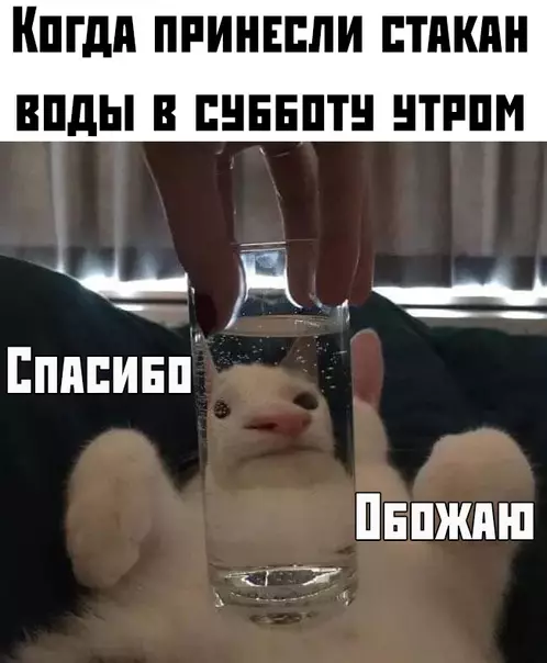 Смешная картинка №378339