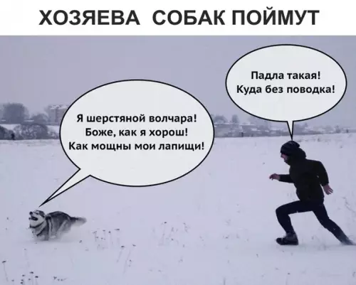 Смешная картинка №323445