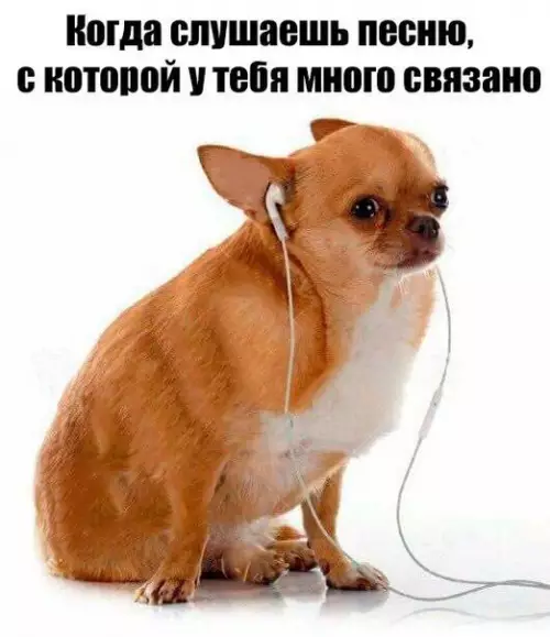 Смешная картинка №275814