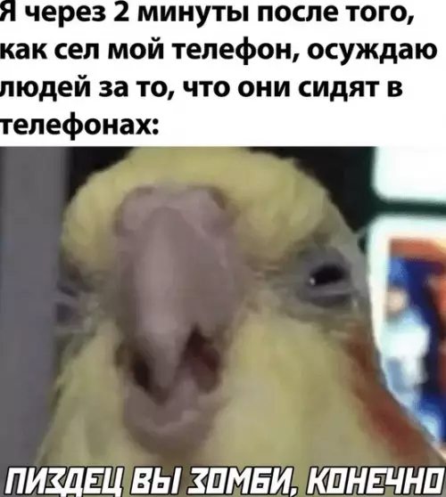 Смешная картинка №509683