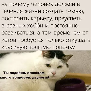 Смешная картинка №744517