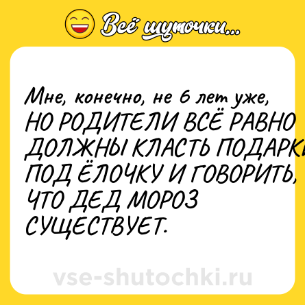Шутка: Мне, конечно, не 6 лет уже, НО РОДИТЕЛИ ВСЁ РАВНО ДОЛЖНЫ КЛАСТЬ ПОДАРКИ ПОД ЁЛОЧКУ И ГОВОРИТЬ, ЧТО ДЕД МОРОЗ СУЩЕСТВУЕТ.