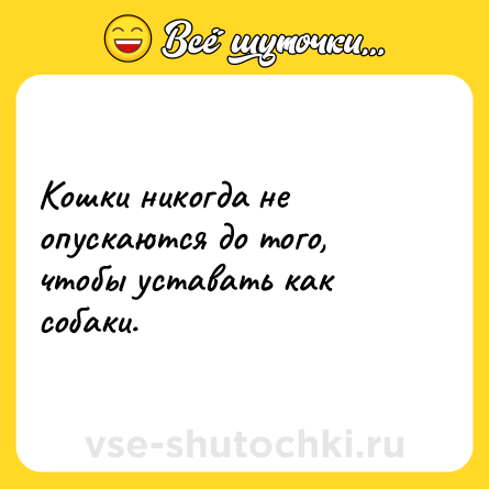 Шутка: Кошки никогда не опускаются до того, чтобы уставать как собаки.