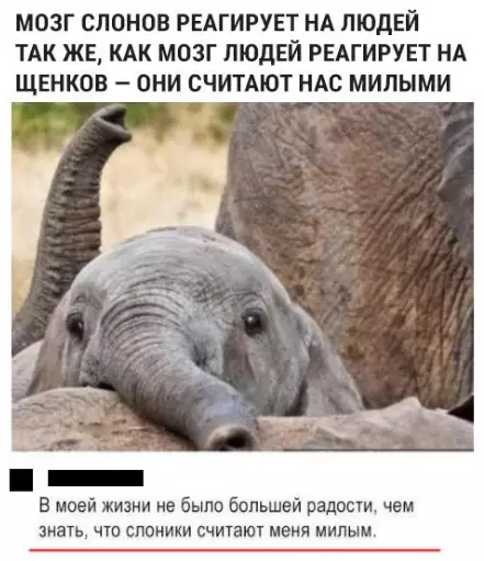 Смешная картинка №273827
