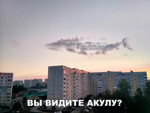 Смешная картинка №197978