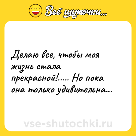 Шутка: Делаю все, чтобы моя жизнь стала прекрасной!..... Но пока она только удивительна...
