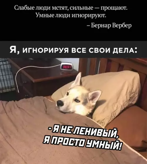 Смешная картинка №538887