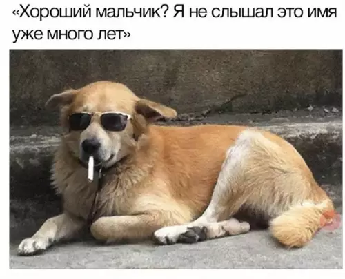 Смешная картинка №266688