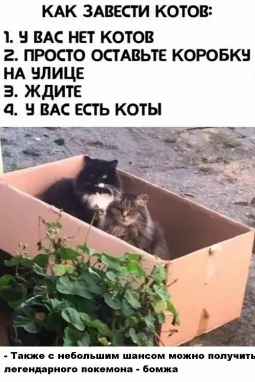 Смешная картинка №647050