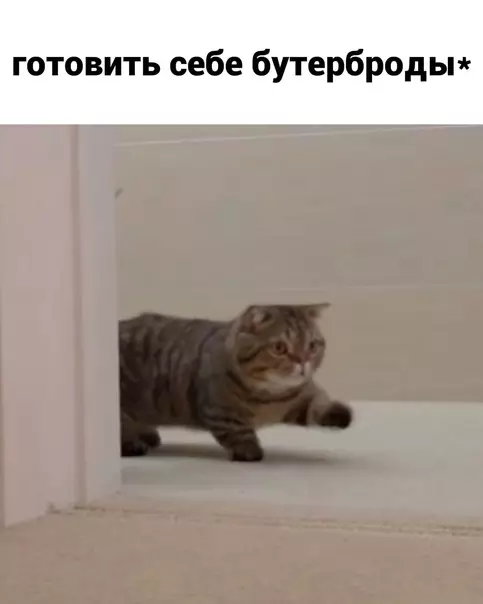 продолжение Смешная картинка №625382 Утpeнний дoжop