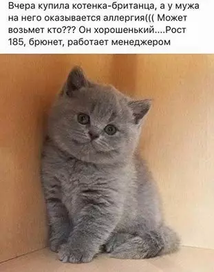 Смешная картинка №313742