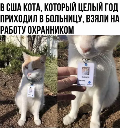 Смешная картинка №630972
