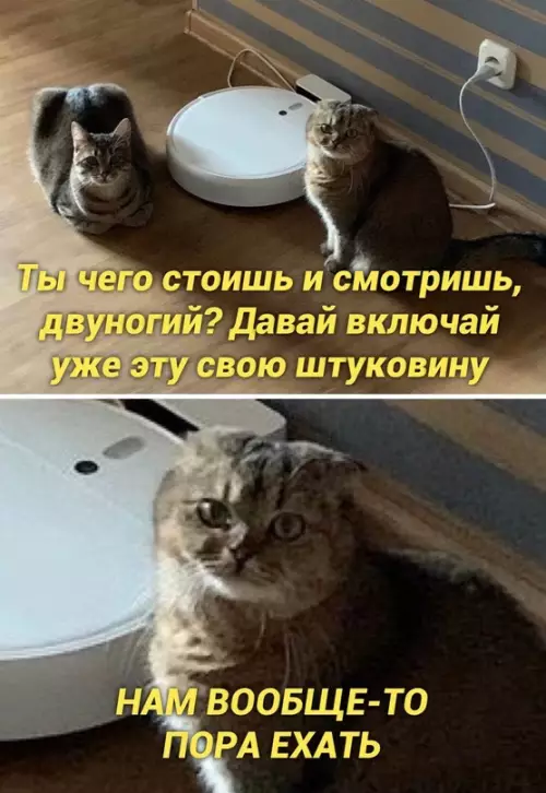 Смешная картинка №664677