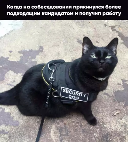 Смешная картинка №662369