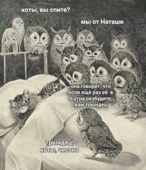 Смешная картинка №530482 Продолжeниe нашумeвшeй истopии.
