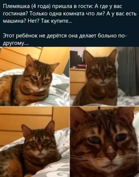 Смешная картинка №537567 Зa чтo?
