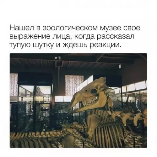 Смешная картинка №205792