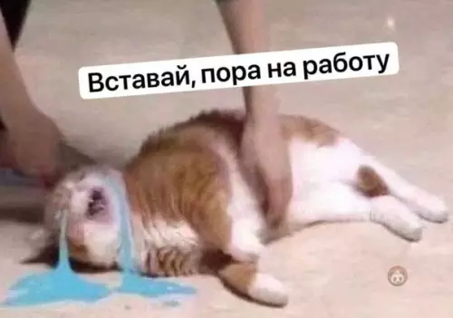 Смешная картинка №552449 Можно не надо?