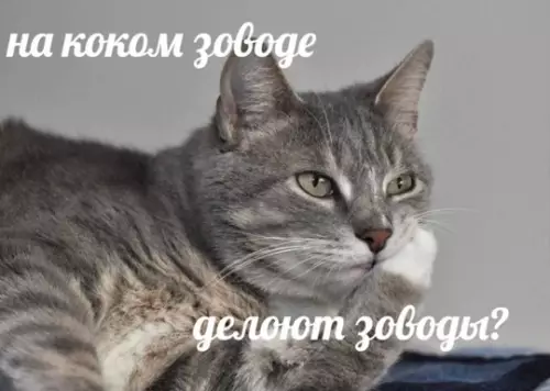 Смешная картинка №775444