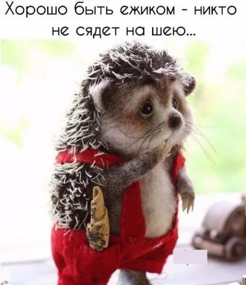 Смешная картинка №295837