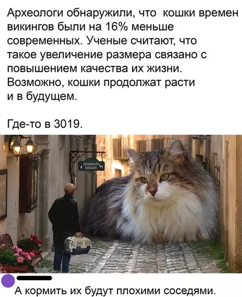 Смешная картинка №579604 Для кисулькинса всё самое лучшее Кошки