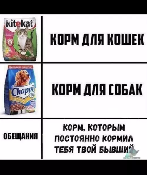 Смешная картинка №373542