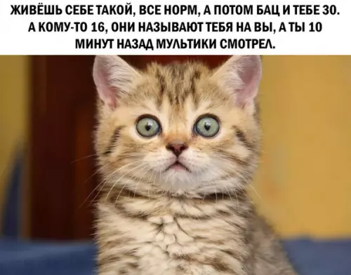 Смешная картинка №291938