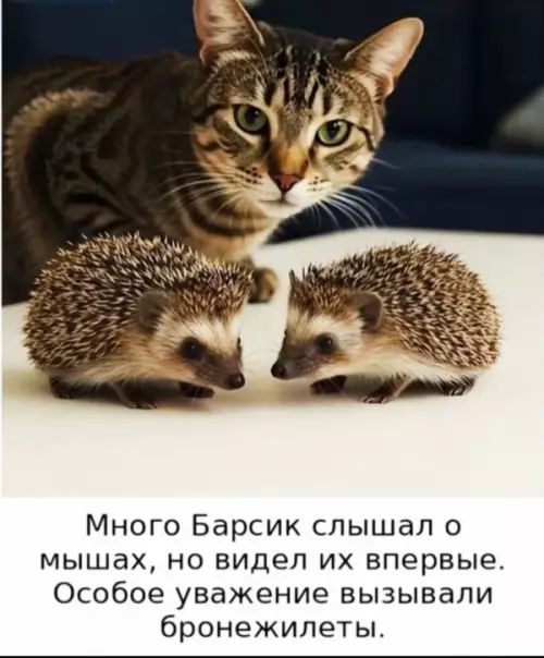 Барсик и его новые друзья