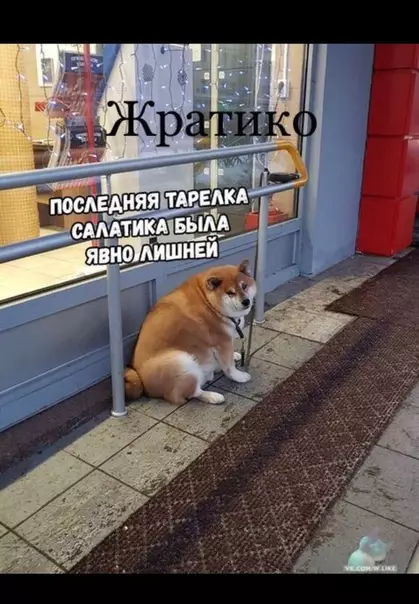 Смешная картинка №331586