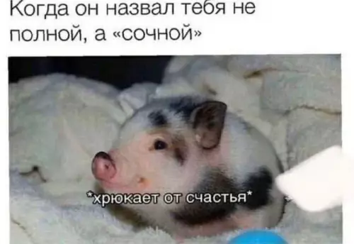 Смешная картинка №704016