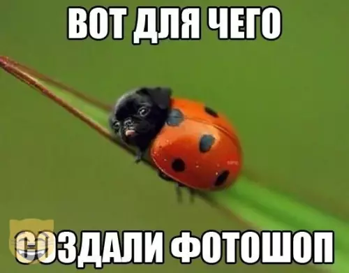 Смешная картинка №351969 #приколы #картинки #мемы ?