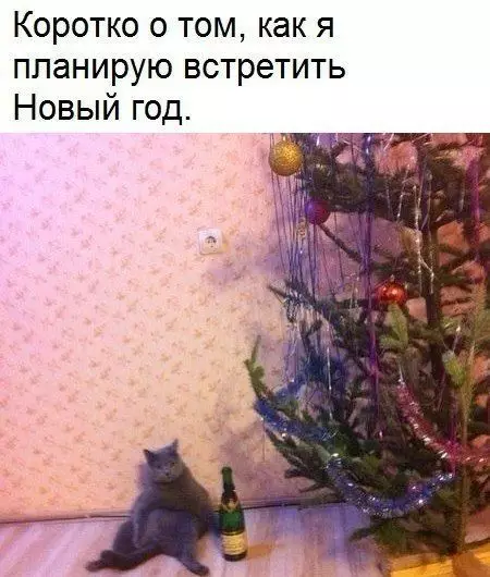 Смешная картинка №430439