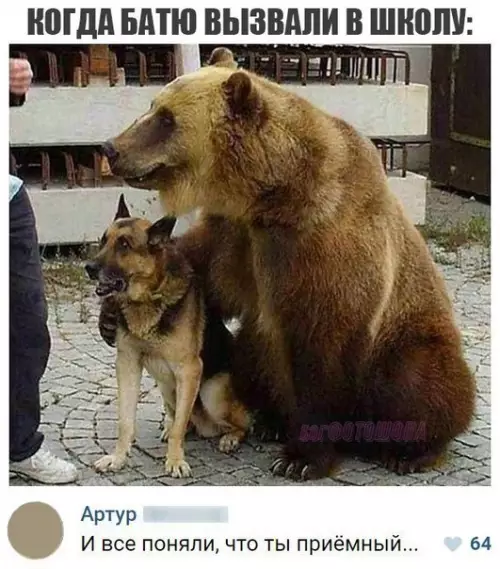 Смешная картинка №229036