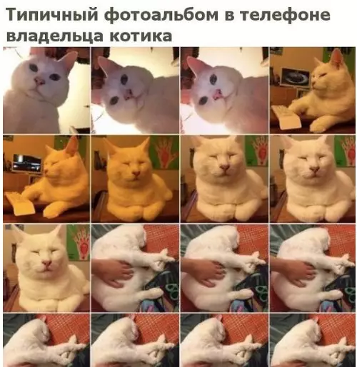 Смешная картинка №215222