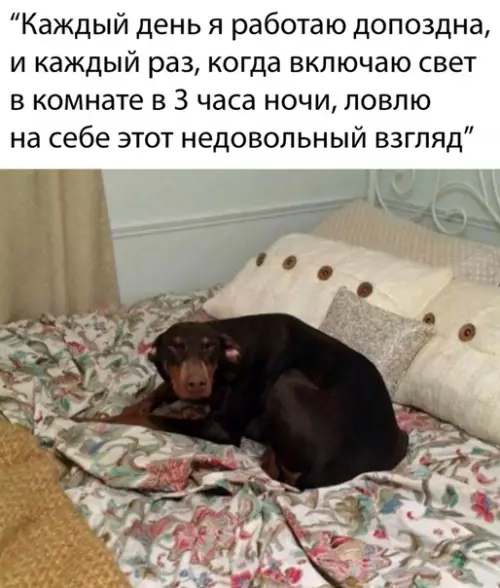 Смешная картинка №476804