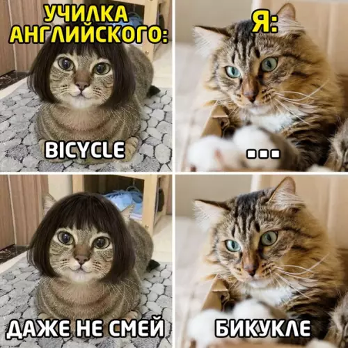 Смешная картинка №551566