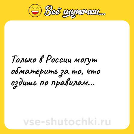 Шутка: Только в России могут обматерить за то, что ездишь по правилам...