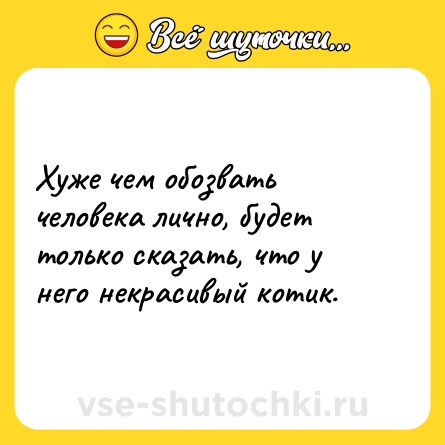 Шутка: Хуже чем обозвать человека лично, будет только сказать, что у него некрасивый котик.