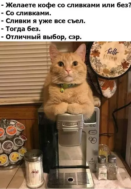 Смешная картинка №470373 Когда поставили перед выбором