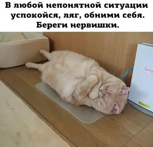 Смешная картинка №388826